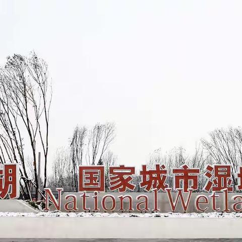 雪后湿地风景如画