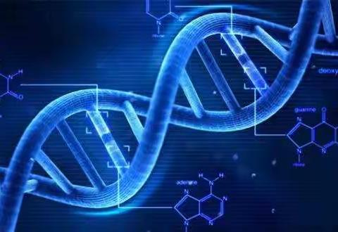 塑立体DNA   释生命之美