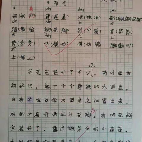 鑫源小学三年级第四小组作业汇报