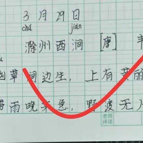 鑫源小学三年级（1）班  第九小组   作业汇报