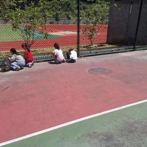 劳动创造美 劳动最光荣——红星小学二3班