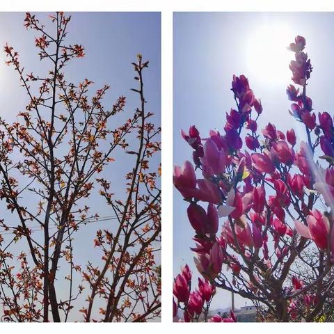 深入教研，寻找教学的“春”            ——店埠学区中心学校六年级数学组开展教研活动