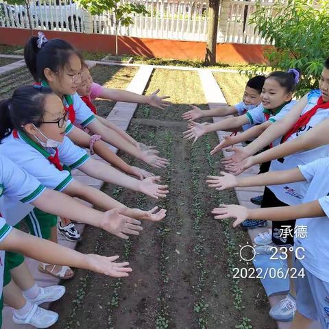 大石庙中心小学五（3）中队百草园种植基地活动纪实