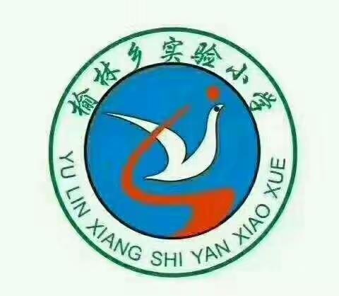 延津县榆林乡实验小学2021年端午节放假通知及假期安全教育