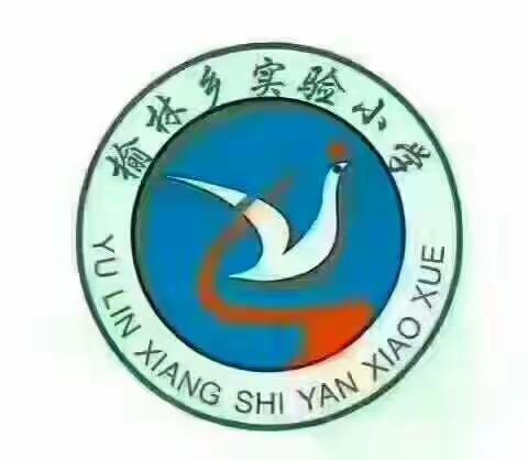 延津县榆林乡实验小学2018年春“精准扶贫”活动纪实