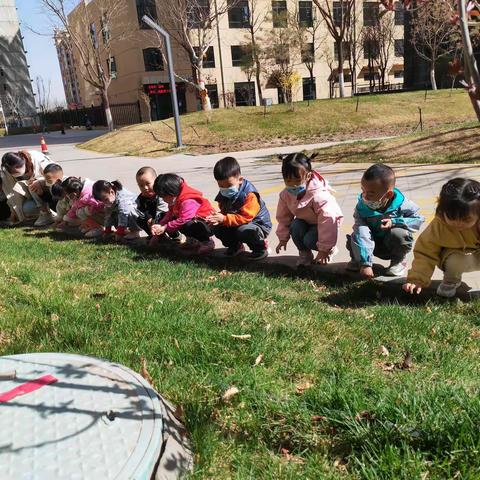 贺兰县德胜第三幼儿园小二班寻找春天之旅