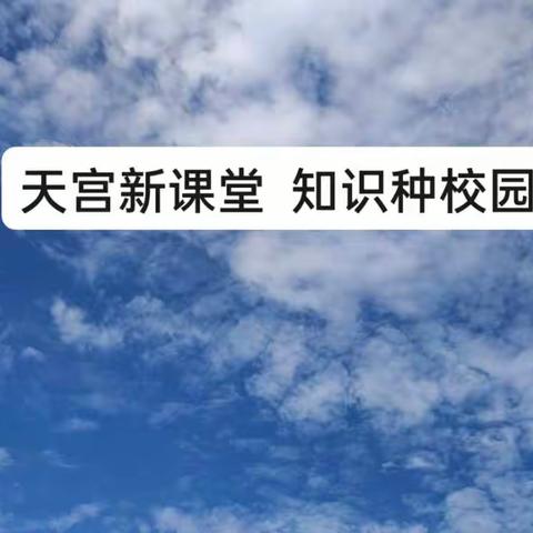 天宫新课堂 知识种校园