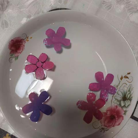 水中绽放的花朵