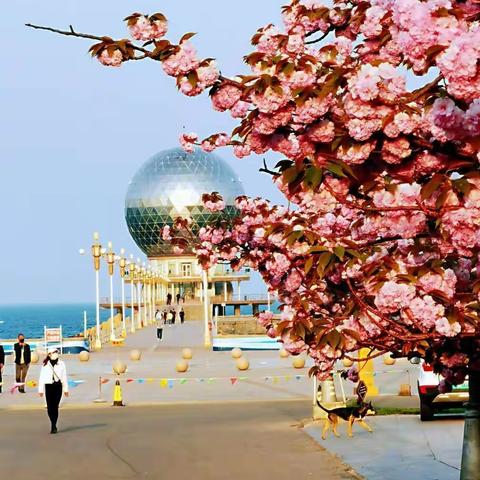 赴一场风花雪月