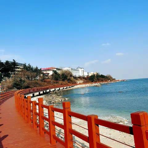 养马岛栈桥听海观澜