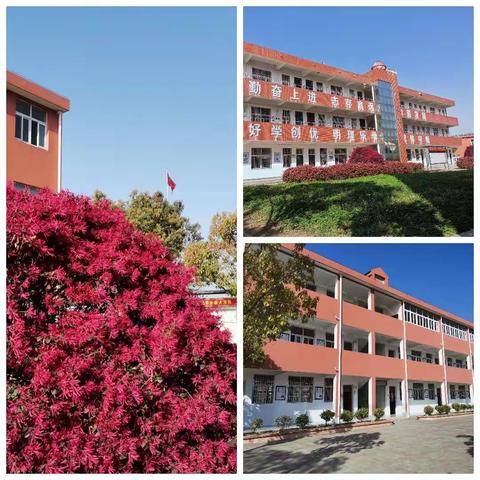 传承红色基因 壮我星光少年                     ﻿朋兴乡星光小学三月德育总结