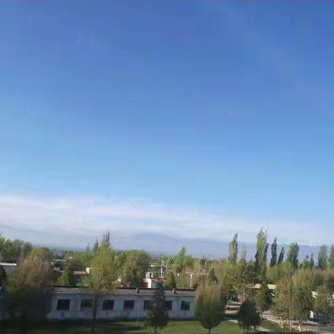 秋风迎诗意   教研唤灵思——喀什镇中心小学语文线上教研活动