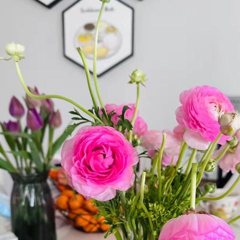 劳动中成长— 李心茗