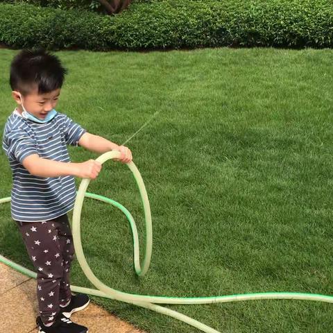 用倒序的视频记录可乐宝贝的生活