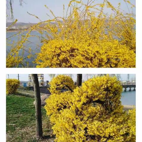 汶河风光
