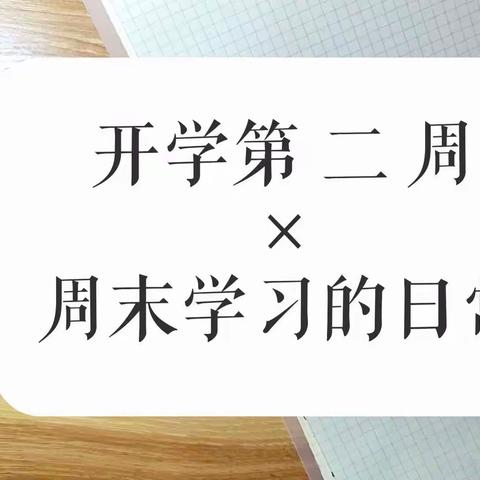 “停课？不影响的”可爱的学生和老师们———新庙中学“停课不停学”