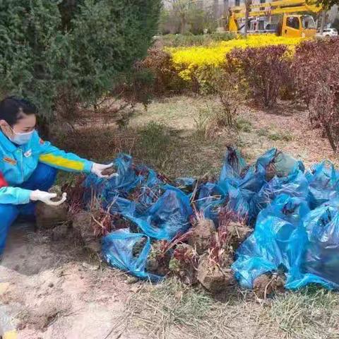 “花园”油站，添新绿