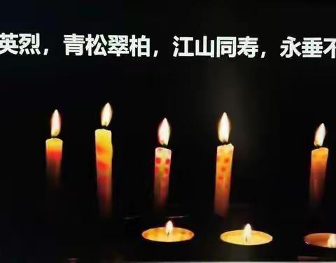 致敬英雄  致敬2020--刘双桥小学抗击疫情之清明节主题教育