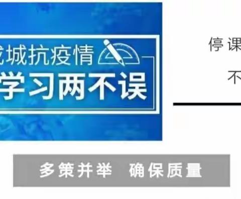 刘双桥小学多策并举，确保网上教学质量。