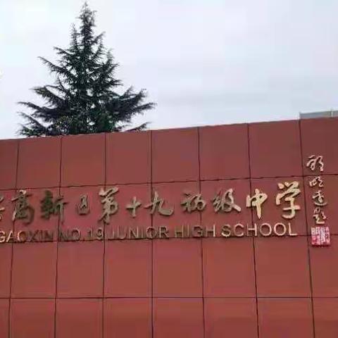 画导图 提素养——高新区第十九初级中学政史地教研组活动之二