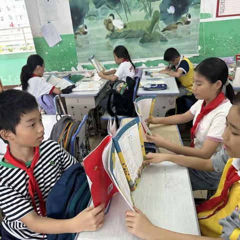 扬小组合作之帆 抵高效学习之岸——海口市龙华小学“同伴互助，同伴共学”教学掠影