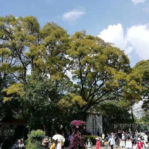 春暖花开时，我们再相聚，蓦然回首，那人却在灯火阑珊处