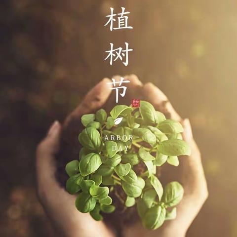 播种希望，收获快乐——记紫小六（4）班植树节活动