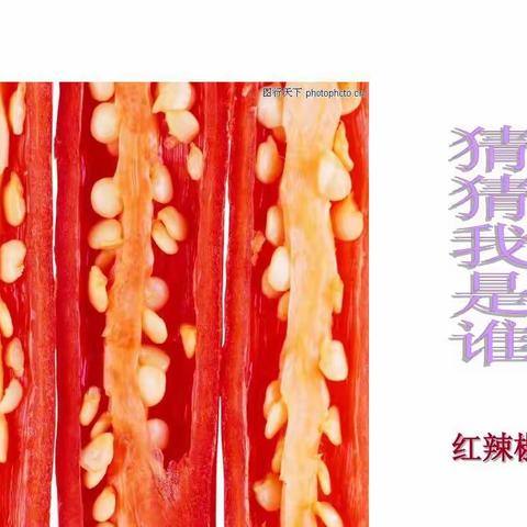 板芙小学二年级美术课线上教学