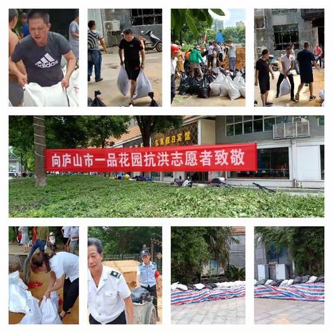 众志成城保家园