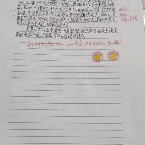 三年一班语文实践活动