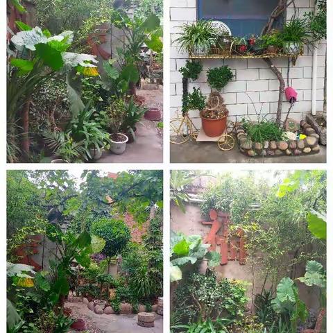 潭上村创建"五美"庭院，建设宜居家园