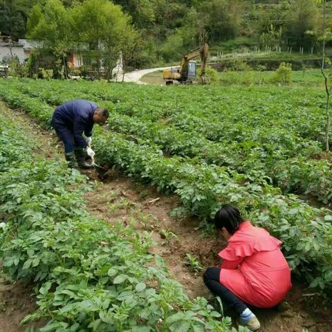 这个春假，劳动并快乐着!