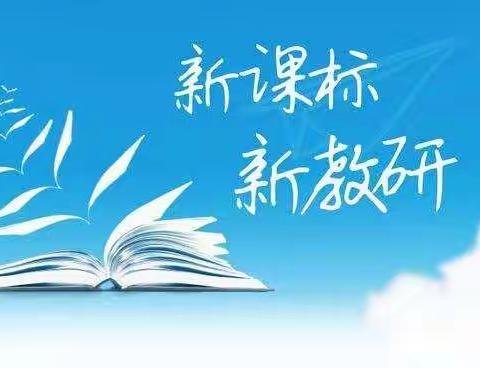 “跨越山丘，变与不变”——码头学区语文教师线上学习“小学语文落实新课标促教研提升交流分享会”