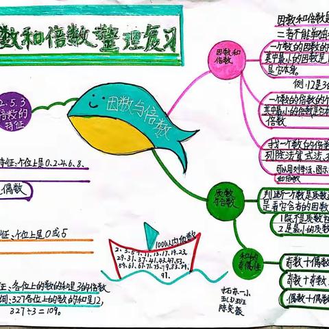 因数和倍数思维导图——拓一小五（3）班