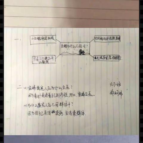 2020.2.25科学作业展示