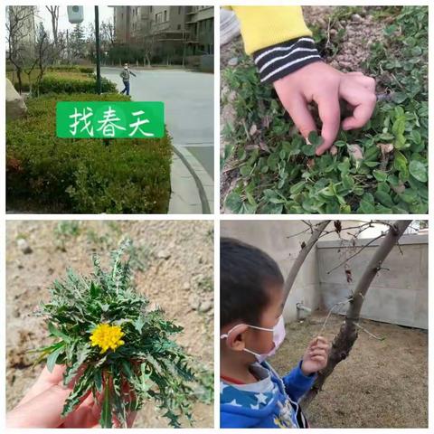 春暖花开正当时，宅家学习盼胜利