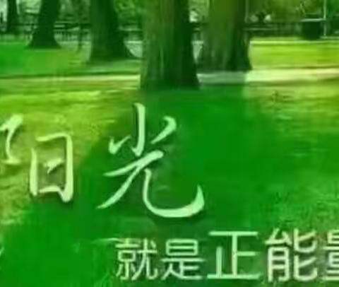 静待花开的美篇