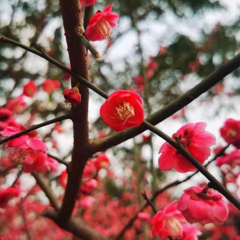 我们相约在春天里！