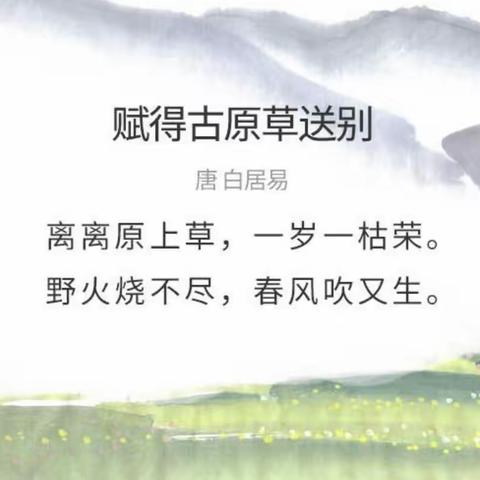 停课不停学——乾务镇中心幼儿园大班级组（第九期）