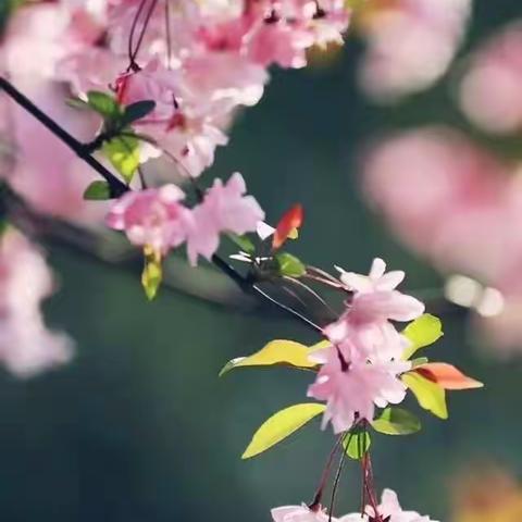 停课不停学 师生在行动-铜石镇光彩完小一年级在行动！
