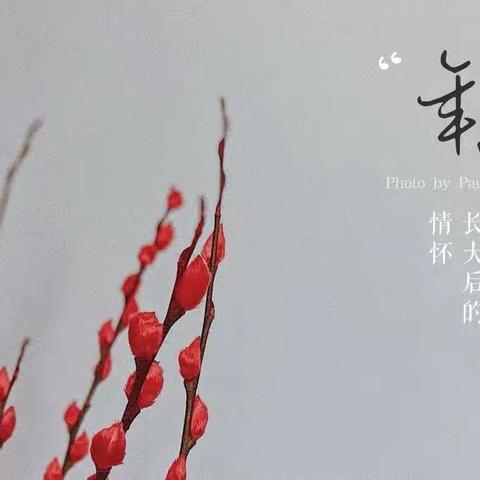 知民俗寻年味，虎虎生威过大年！