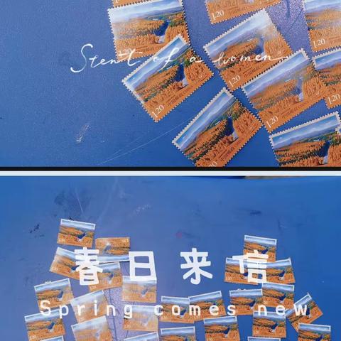 文化润疆      书信搭桥——                 写给新疆和田皮山县科乡三小同学的一封信