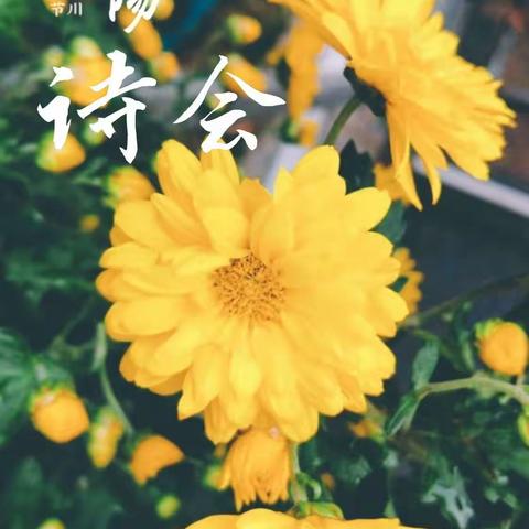 重阳话诗意   经典共传承                       ——304班重阳诗会活动