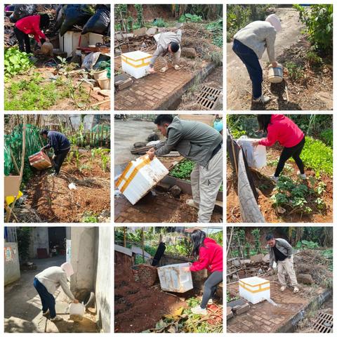 仙云社区开展冬季爱国卫生整治活动