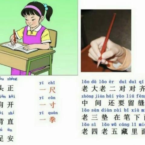 我会写字啦！——一年级小豆丁之写字篇