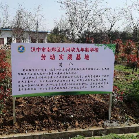 劳动获技能，实践出真知---大河坎九年制学校劳动实践基地学生劳动掠影