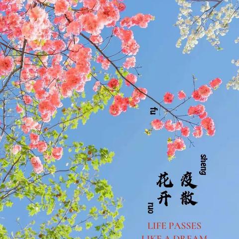 【自律自觉，共克时艰】——解放小学 五年二班美篇