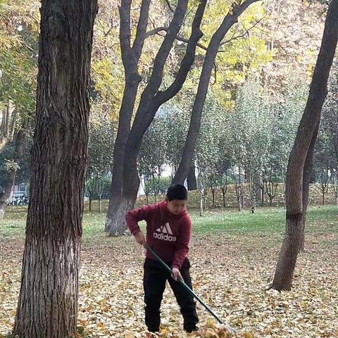桥西区四维小学|垃圾分类 ，人人参与