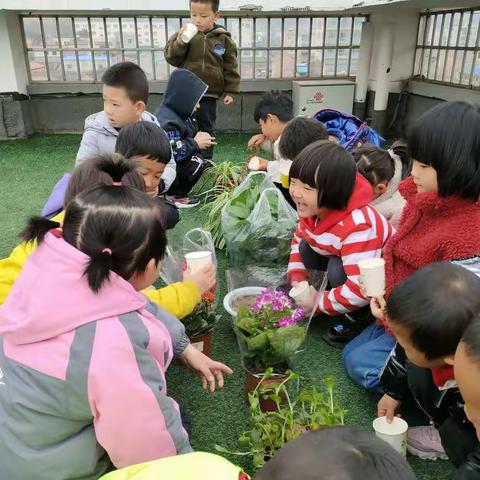 春风十里——不及一抹绿意🍀🌿