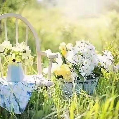 西关幼儿园苗苗三班第六周停课不停学打卡记录